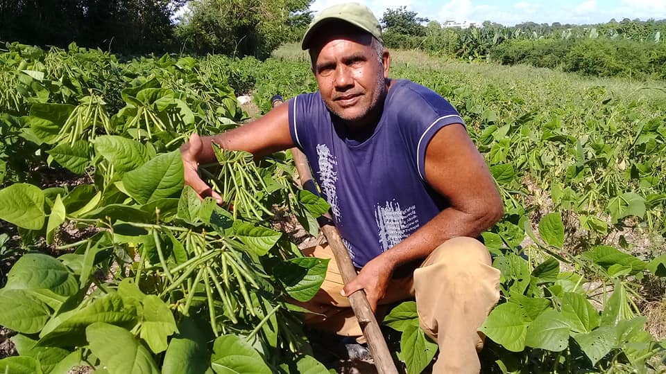 Andrés León Ramírez, campesino usufructuario por el Decreto Ley 300 Ministerio de la Agricultura Foto Rafael González Castro